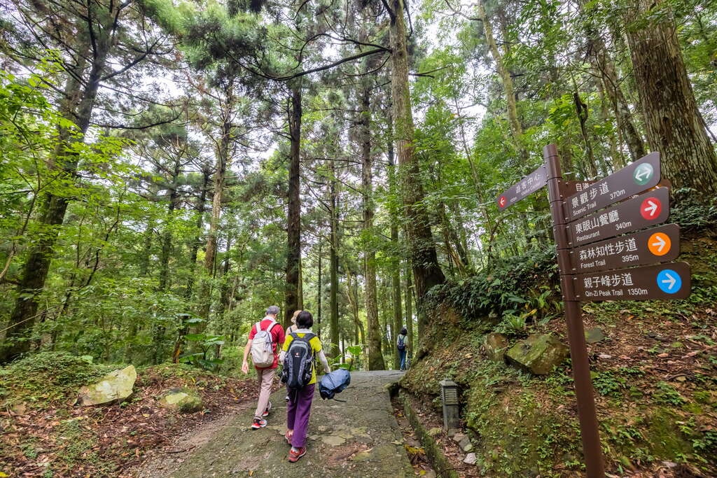 探索五大國家森林遊樂區的最佳選擇：享受大自然之美