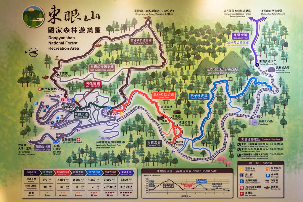 探索迷人的森林遊樂區：最佳的國家森林遊樂區推薦