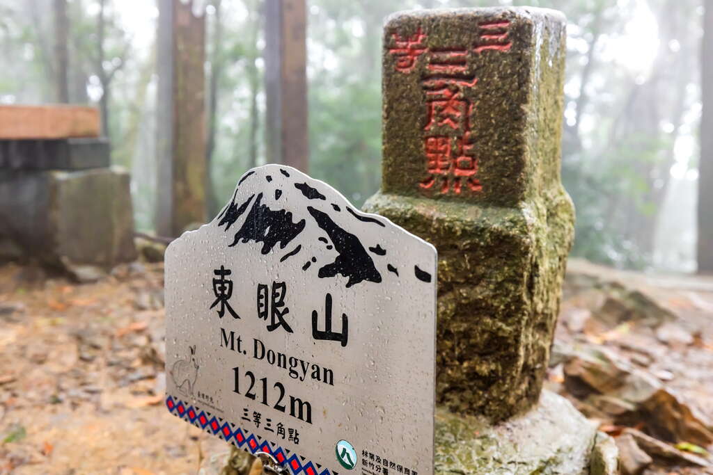 東眼山國家森林遊樂區｜從柳杉林到雲海，北台灣最療癒的森林健行基地
