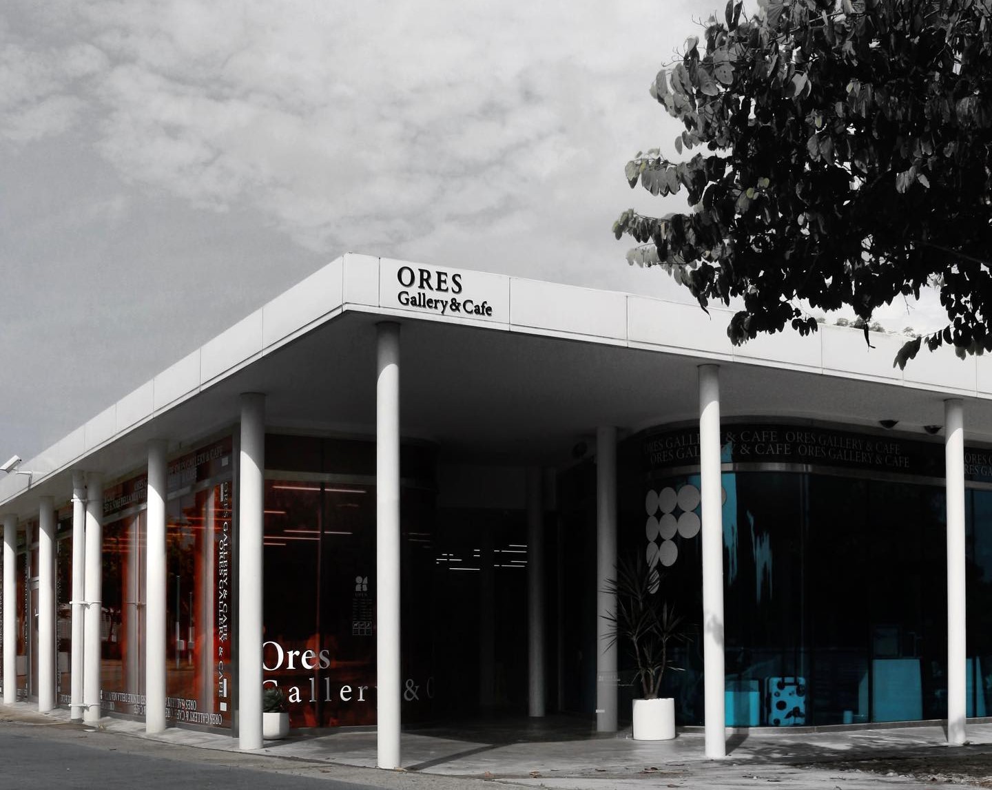 探索臺中中央公園：舒適休閒的綠洲