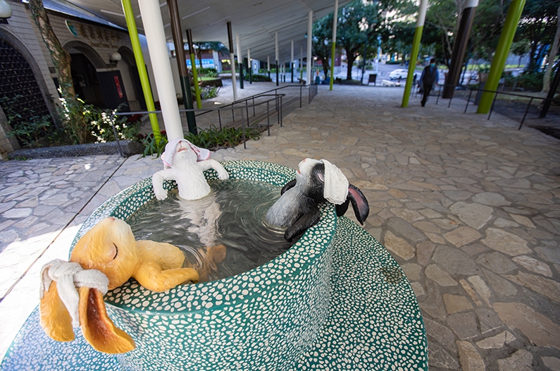 礁溪景點推薦：探索隱藏版自然美景與放鬆心靈的最佳去處