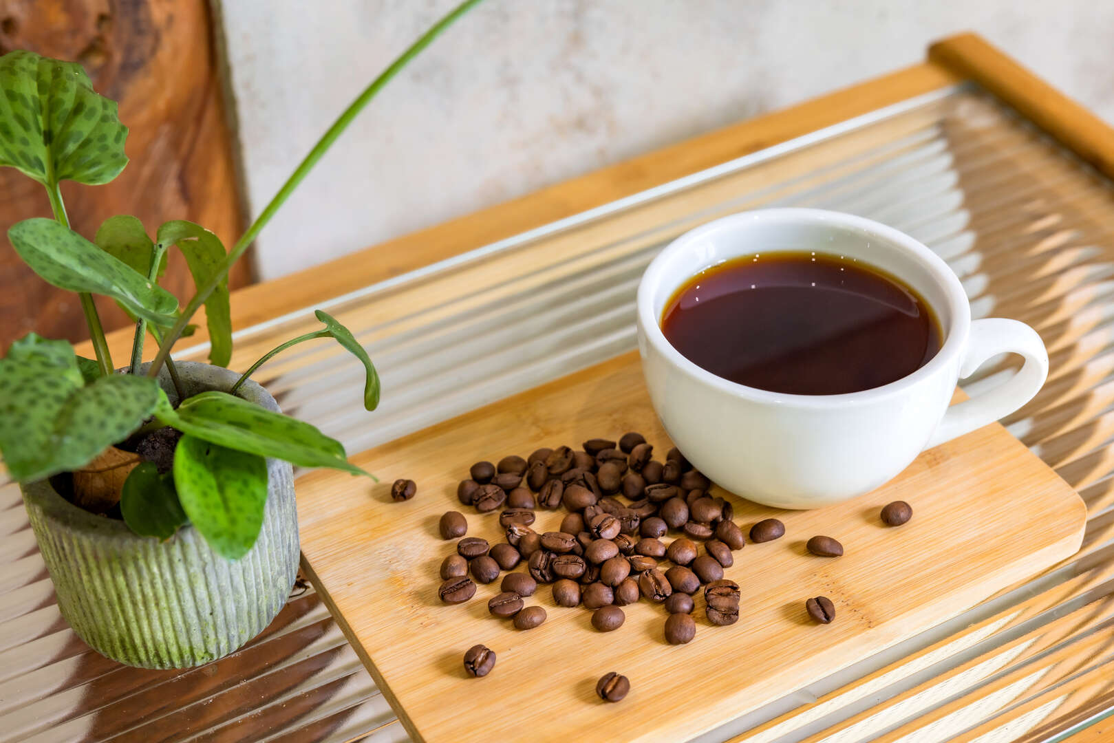 探索雲林古坑：必訪景點與美食推薦