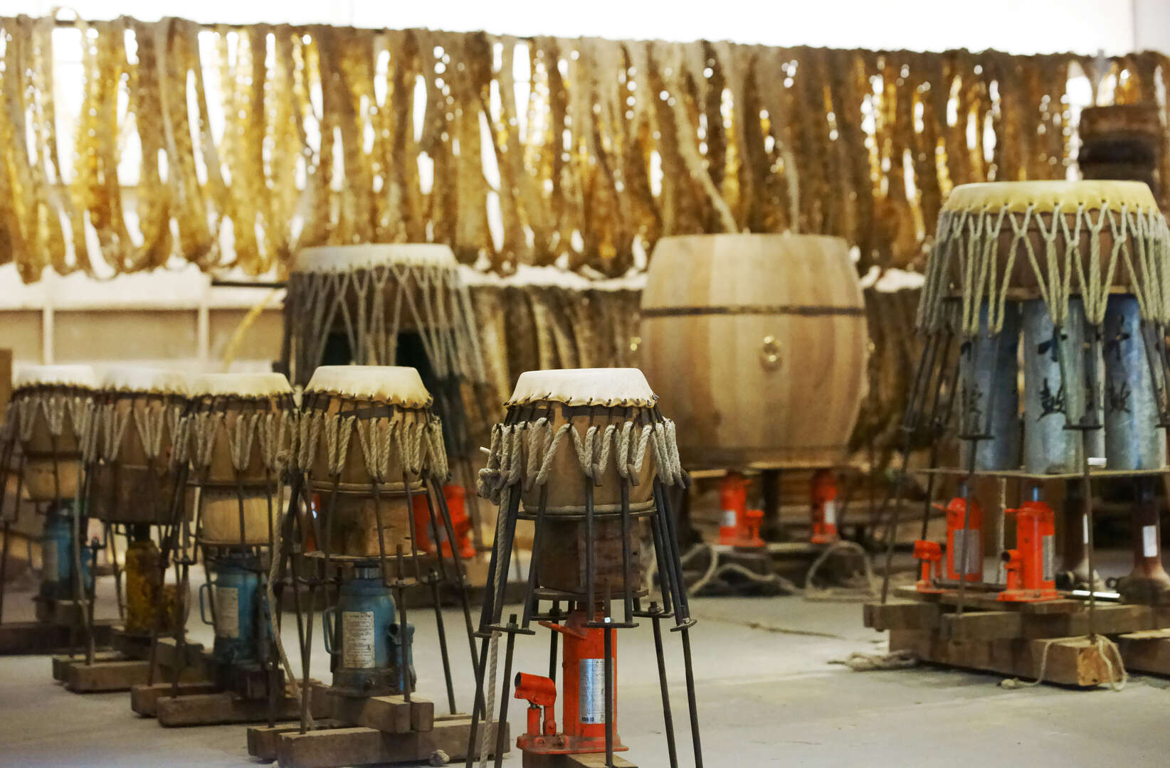 探索十鼓文創園區的美食與藝術之旅