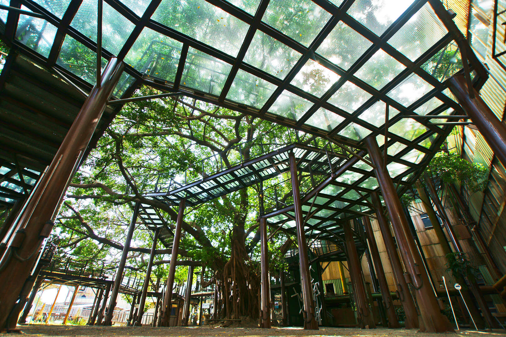 探索十鼓文創園區的美食與藝術之旅