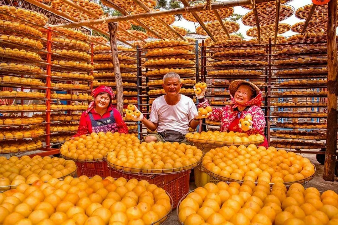 新埔老街一日遊：客家美食、百年古蹟與秋日柿餅的文化小旅行