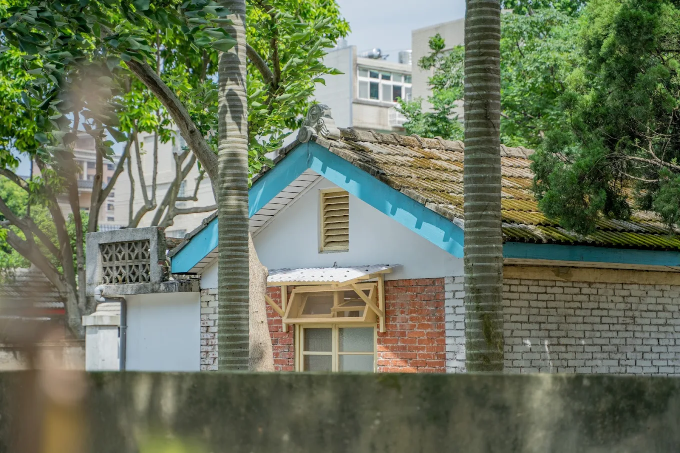 重拾眷村記憶｜馬祖新村文創園區，文化與創意並行之地