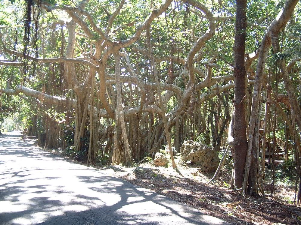 探索墾丁國家公園的最佳秘訣｜讓你的旅程更加難忘