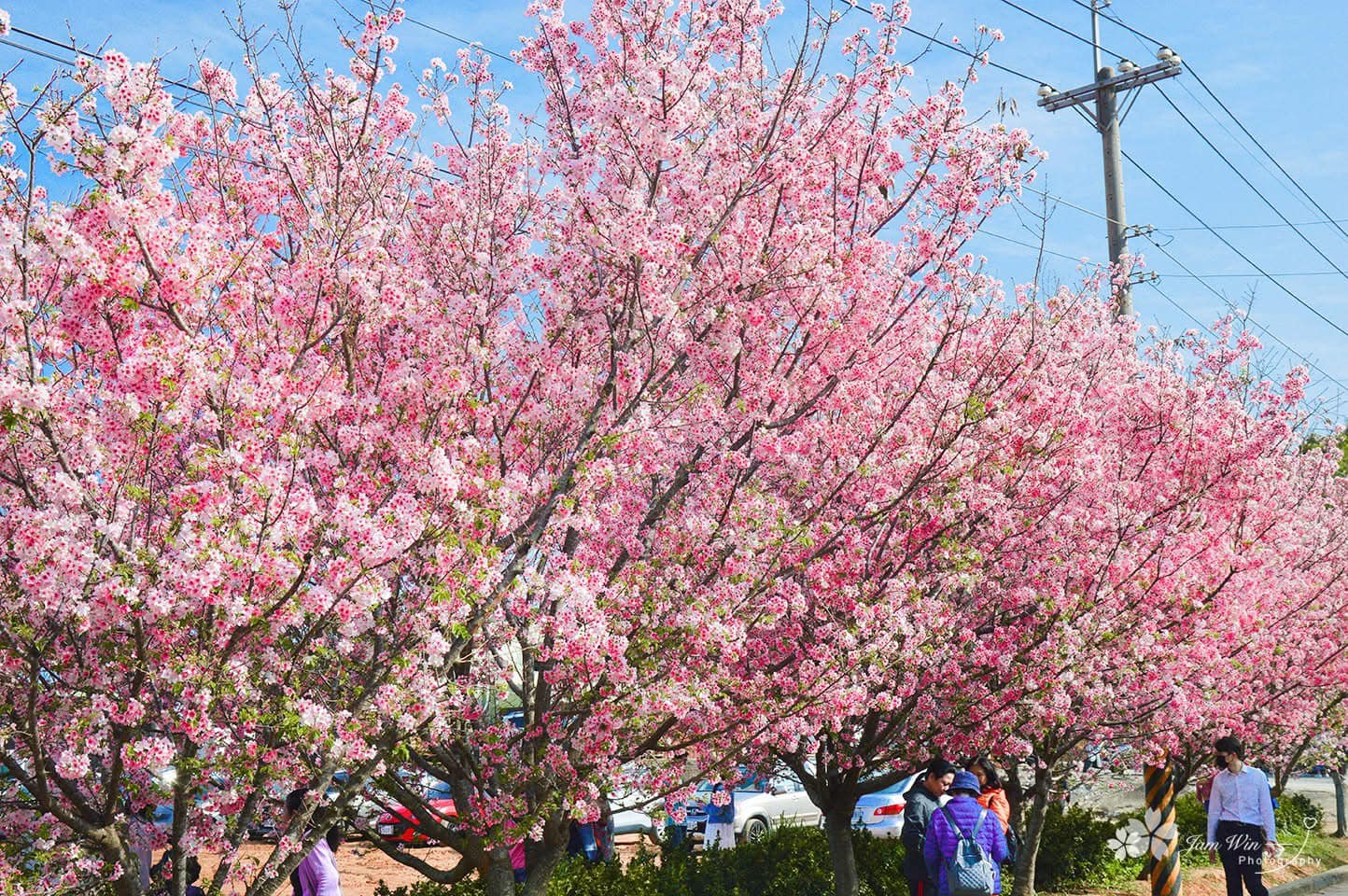 苑裡景點全攻略｜探索苗栗的美麗與文化