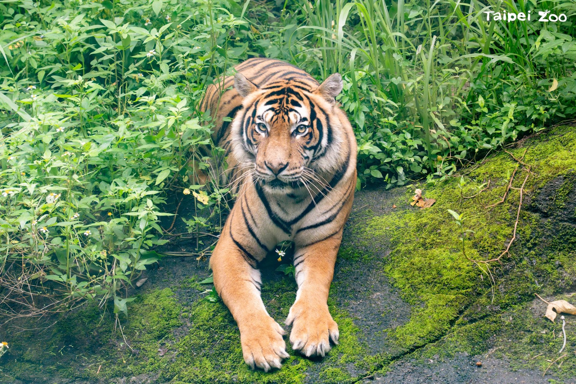 北部景點指南：輕鬆掌握5個必訪景點的詳細資訊