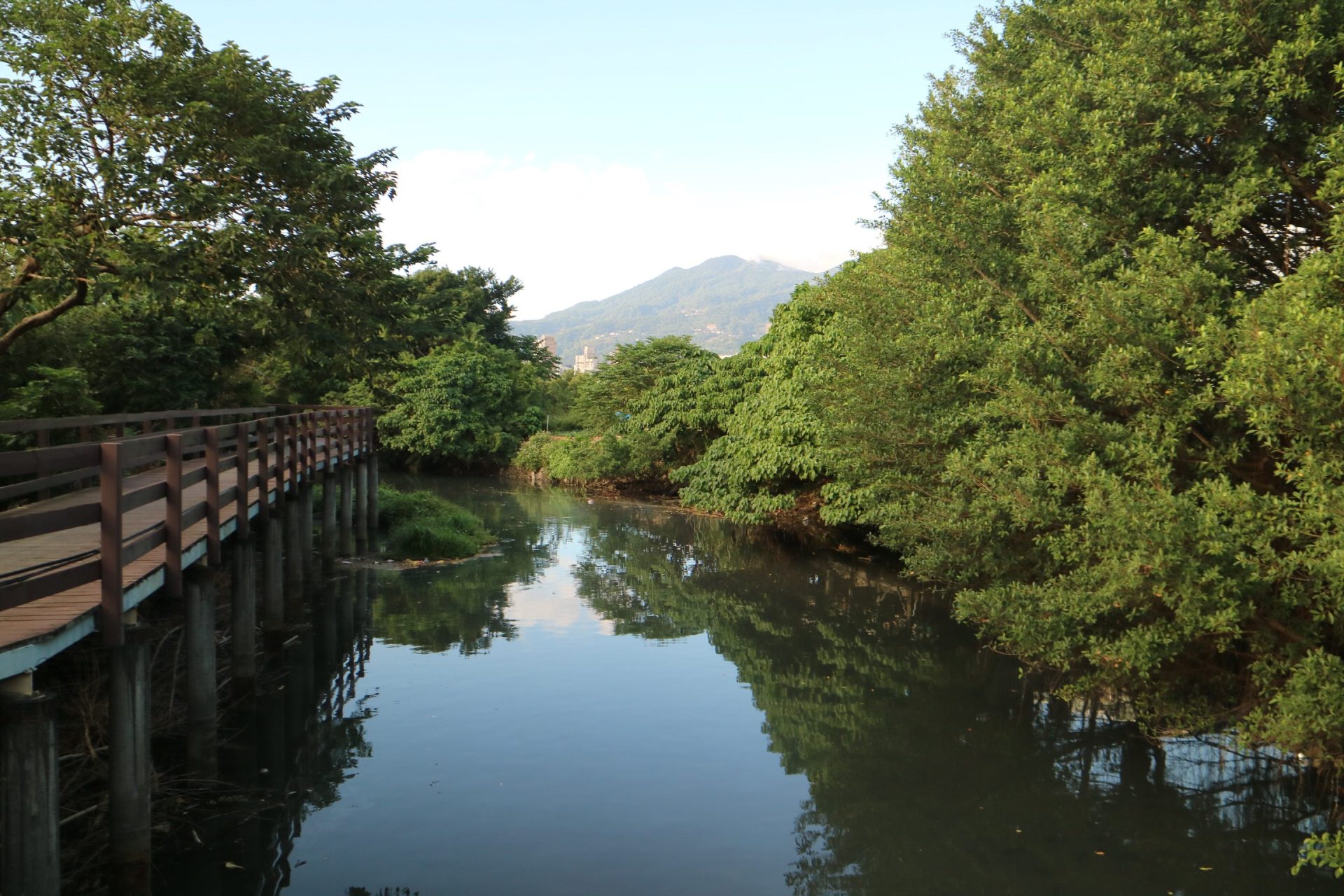 北投的隱藏寶藏：發現北投最美景點的旅行攻略