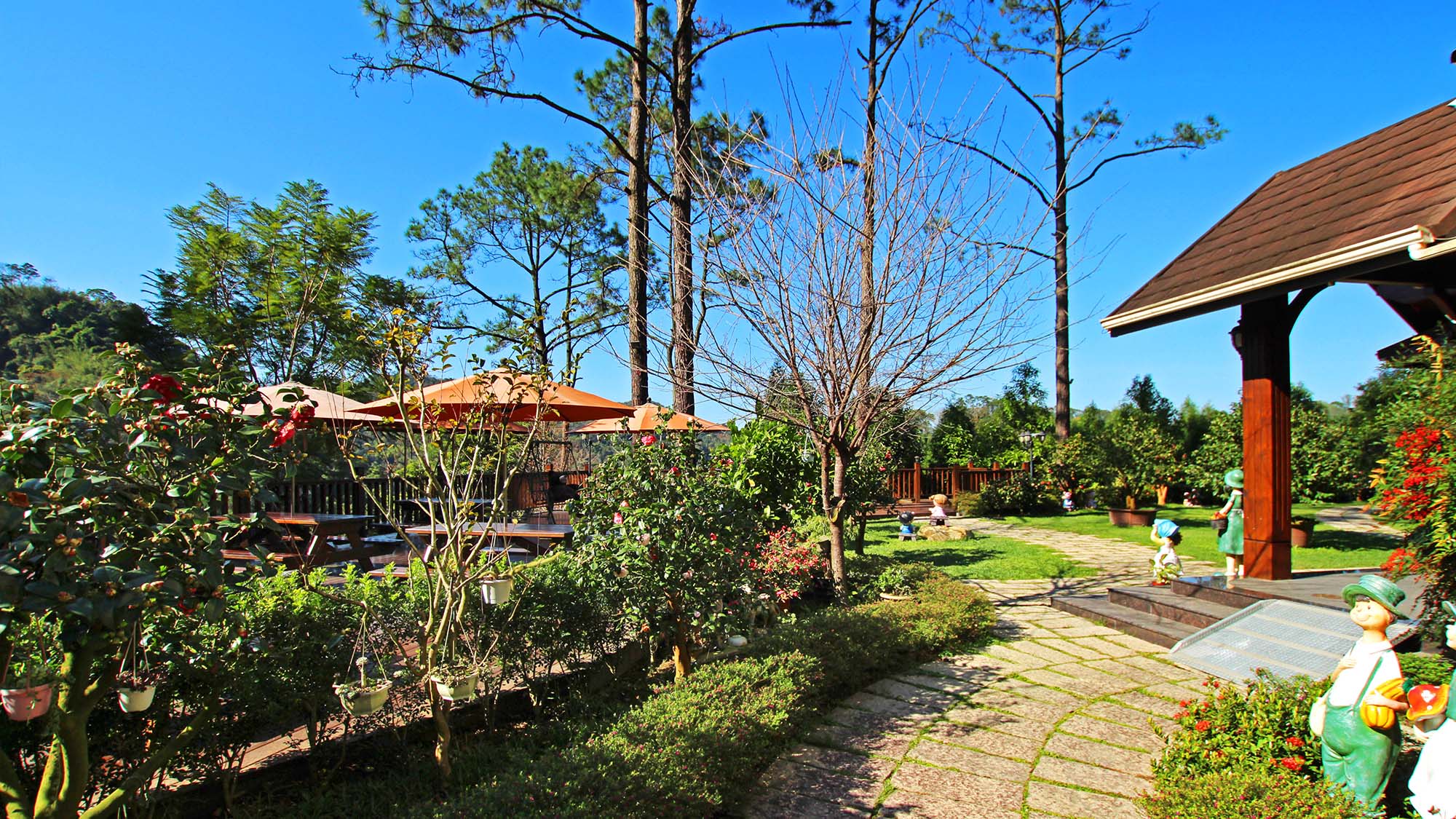 山水屋民宿｜綠意庭園中的歐風簡餐與下午茶體驗