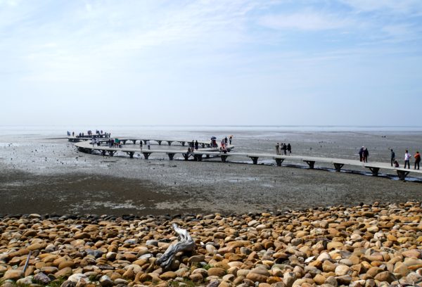 新竹景點大推薦：探索最具特色的五大景點