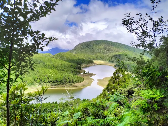 翠峰湖環山步道眺望高山湖泊與綠色山巒景致