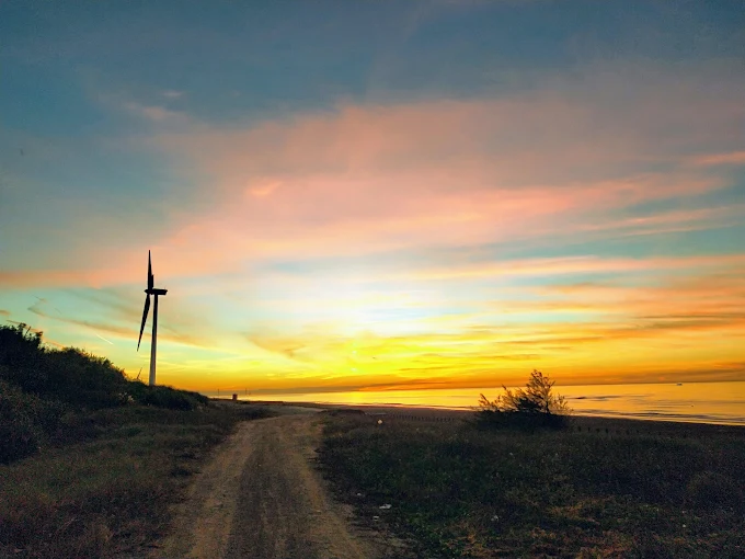 新竹秘境探索:湖口茶香步道和周邊絕美景點推薦