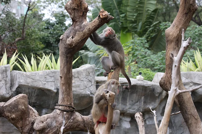 新竹親子景點推薦：不可錯過的家庭樂園