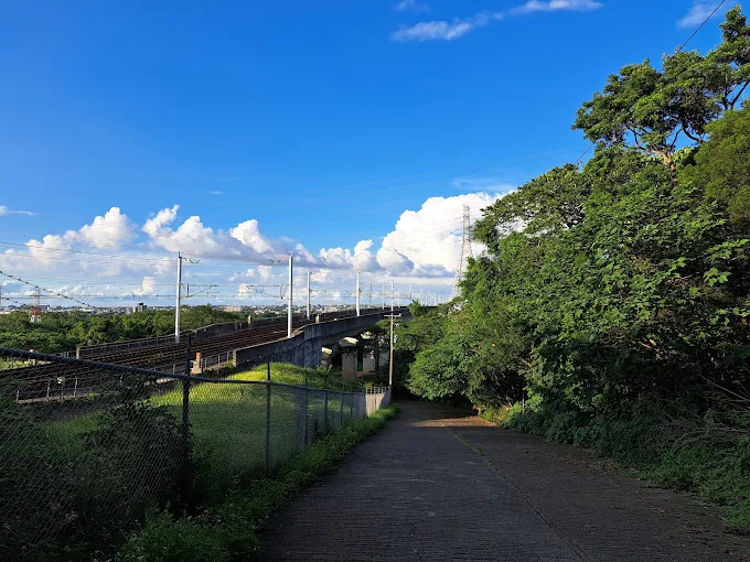 新竹秘境探索:湖口茶香步道和周邊絕美景點推薦