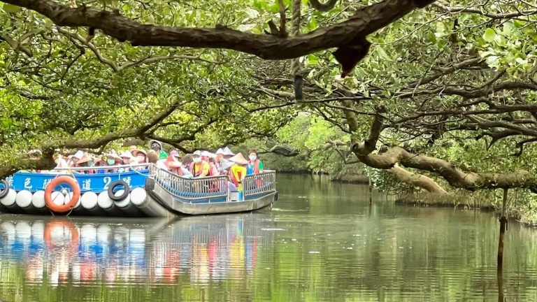 探索台灣綠色旅遊：最佳綠色隧道與旅遊體驗