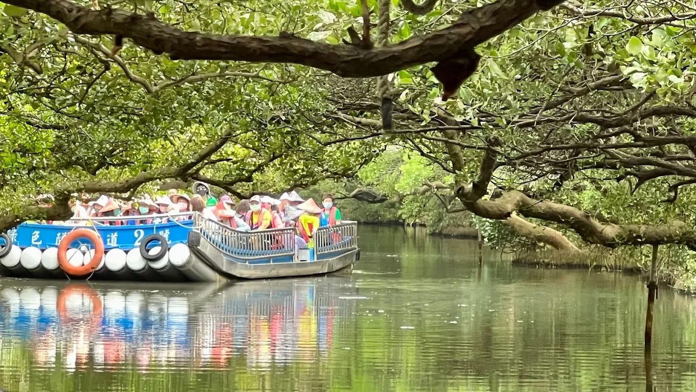 探索台灣綠色旅遊：最佳綠色隧道與旅遊體驗