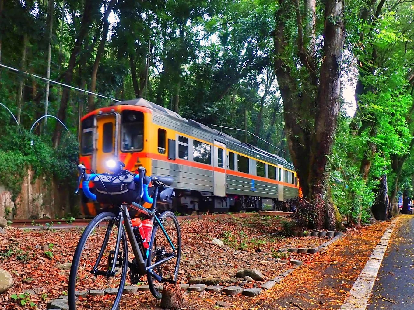 集集綠色隧道秋季風情