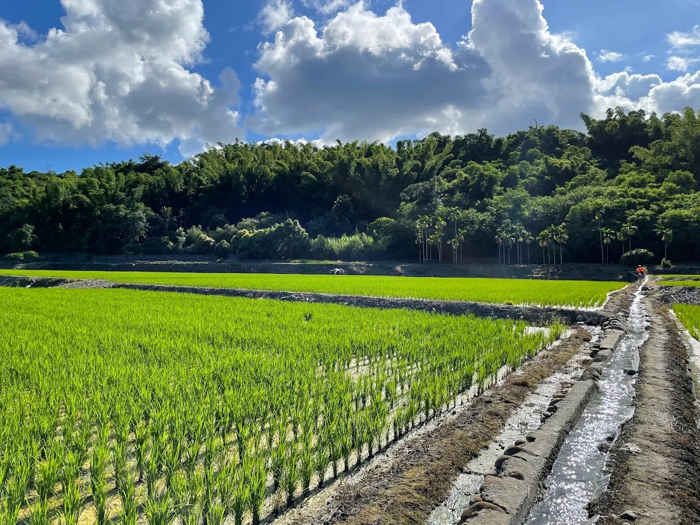 台灣永續旅遊指南｜走訪台灣永續旅遊的感性風景