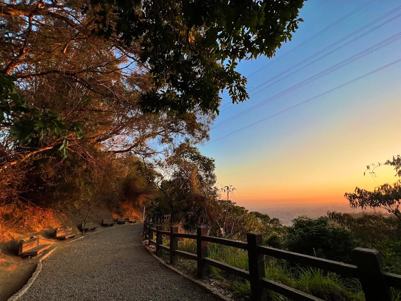 探索大坑步道：台中健行愛好者的最佳去處