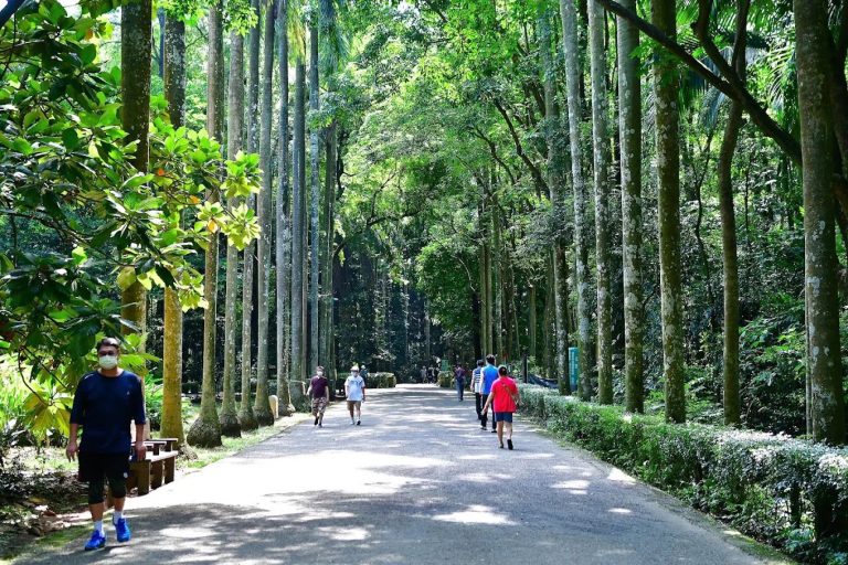 探索嘉義祕境｜五大必訪特色景點讓旅行更有深度