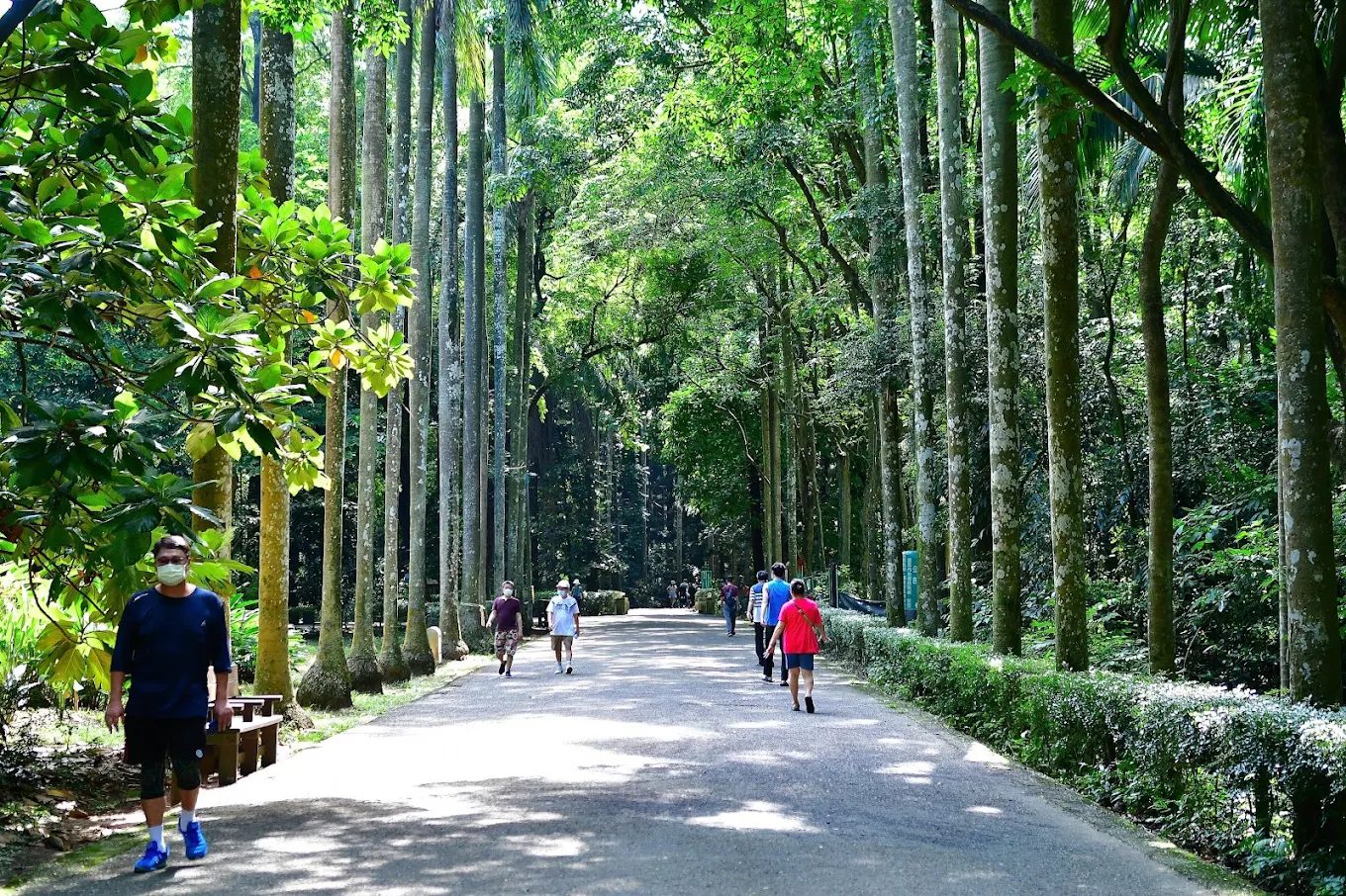 探索嘉義祕境｜五大必訪特色景點讓旅行更有深度
