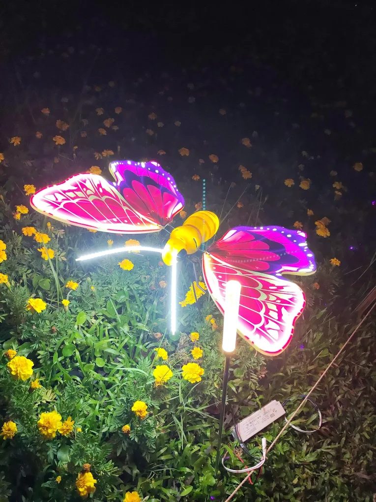 探索新北景點：必訪的五大精彩旅遊熱點