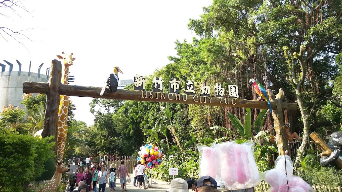新竹動物園的五大必看動物｜讓你不虛此行