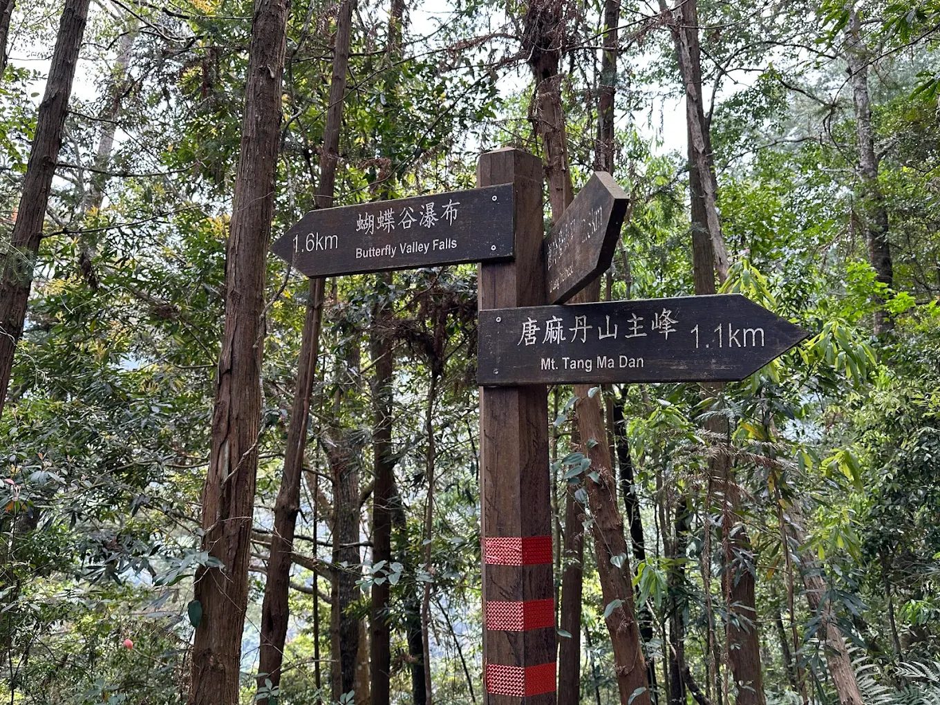 隨著季節更迭展現不同風貌的瀑布絕景