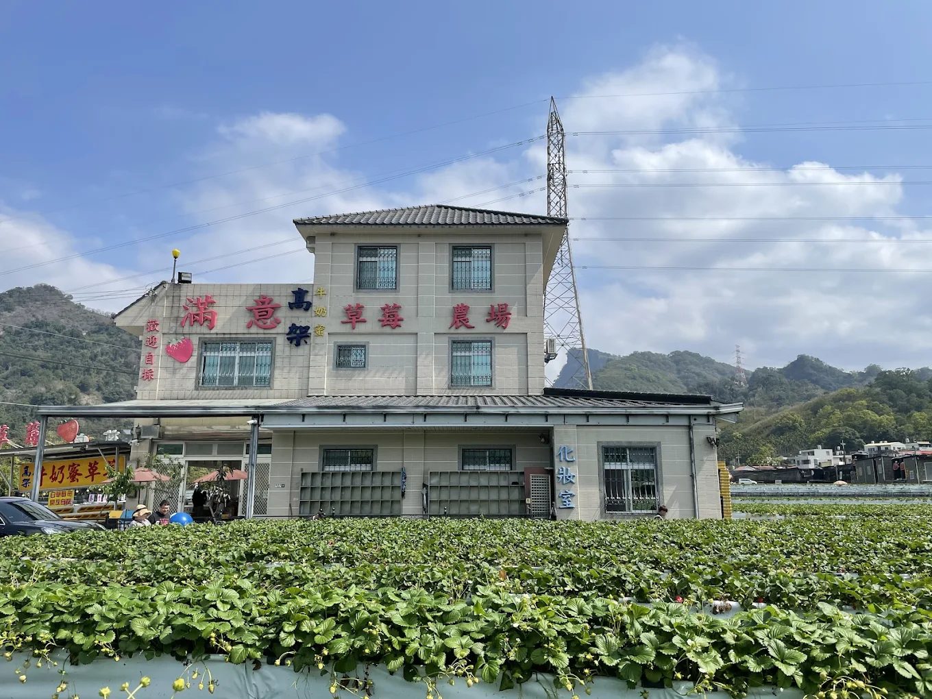 大湖草莓園推薦|五大必訪老字號、高架免彎腰、巨無霸、白草莓一次掃光!
