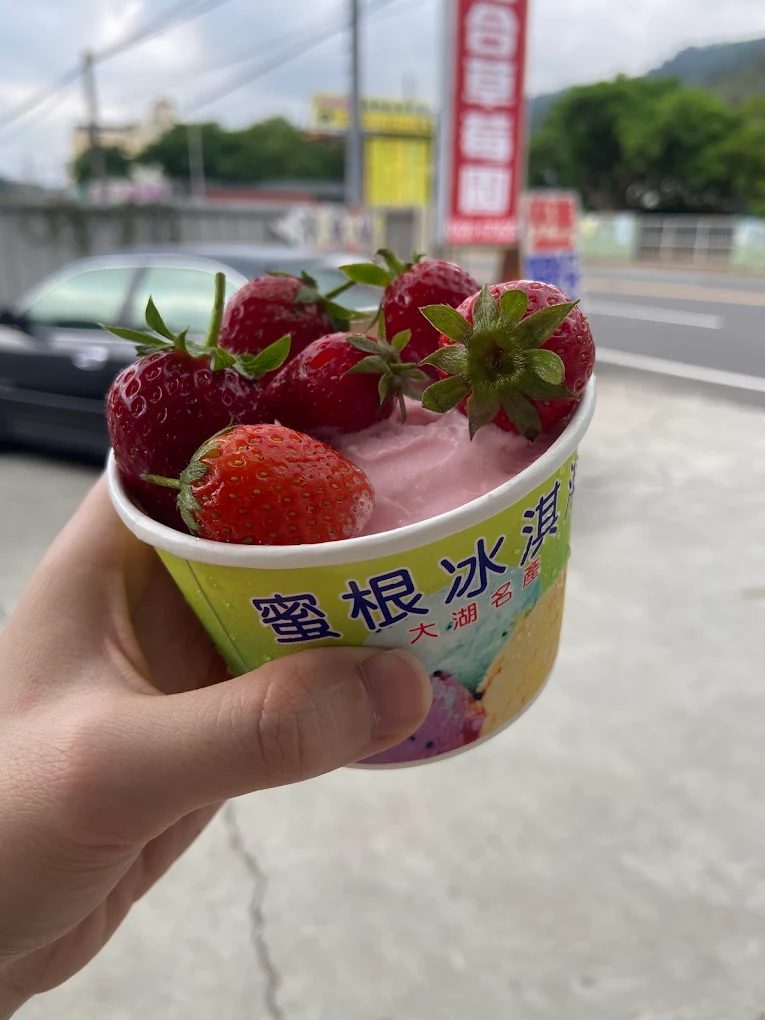 大湖草莓園推薦|五大必訪老字號、高架免彎腰、巨無霸、白草莓一次掃光!