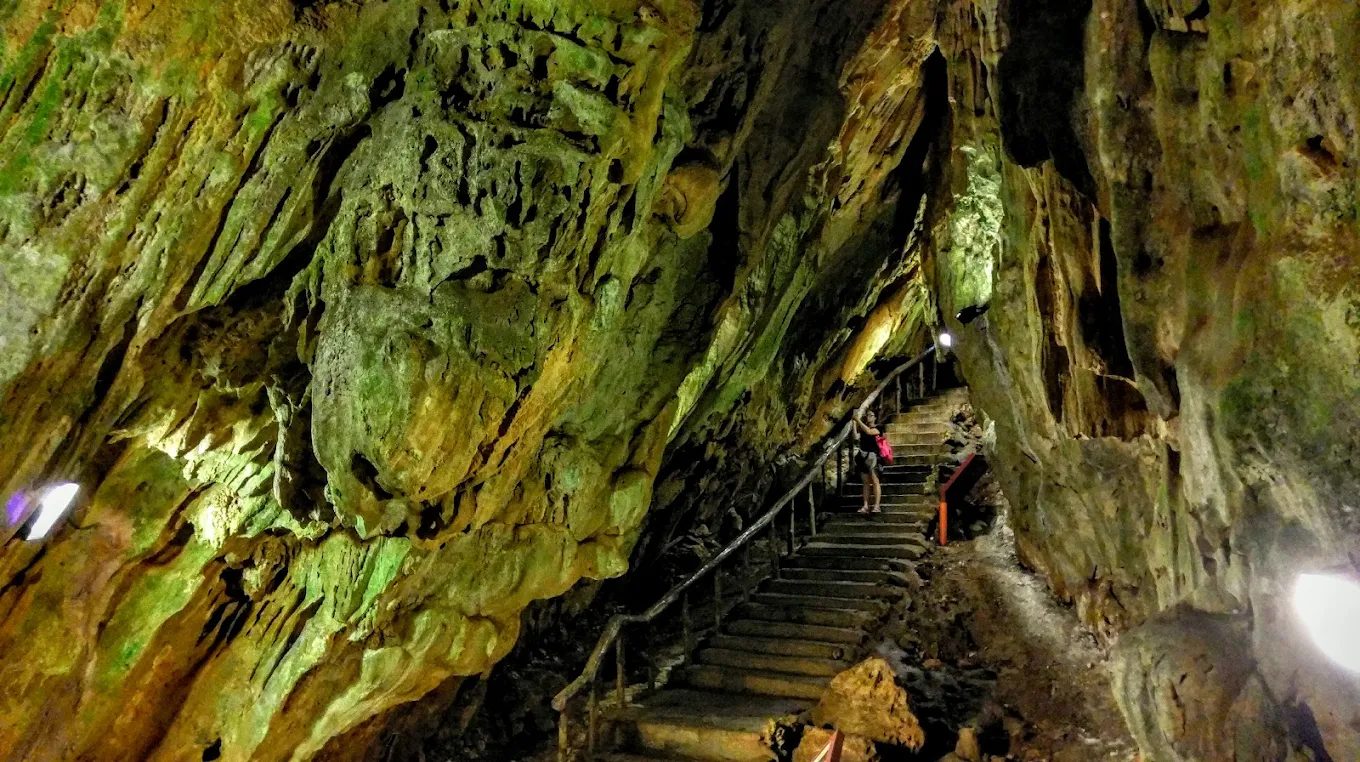 🌿 墾丁恆春自然景點推薦｜社頂、關山、鵝鑾鼻、雙流森林全攻略