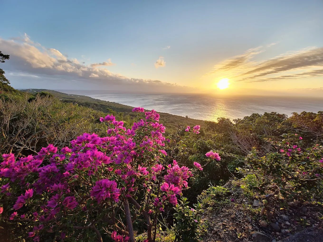 🌿 墾丁恆春自然景點推薦｜社頂、關山、鵝鑾鼻、雙流森林全攻略
