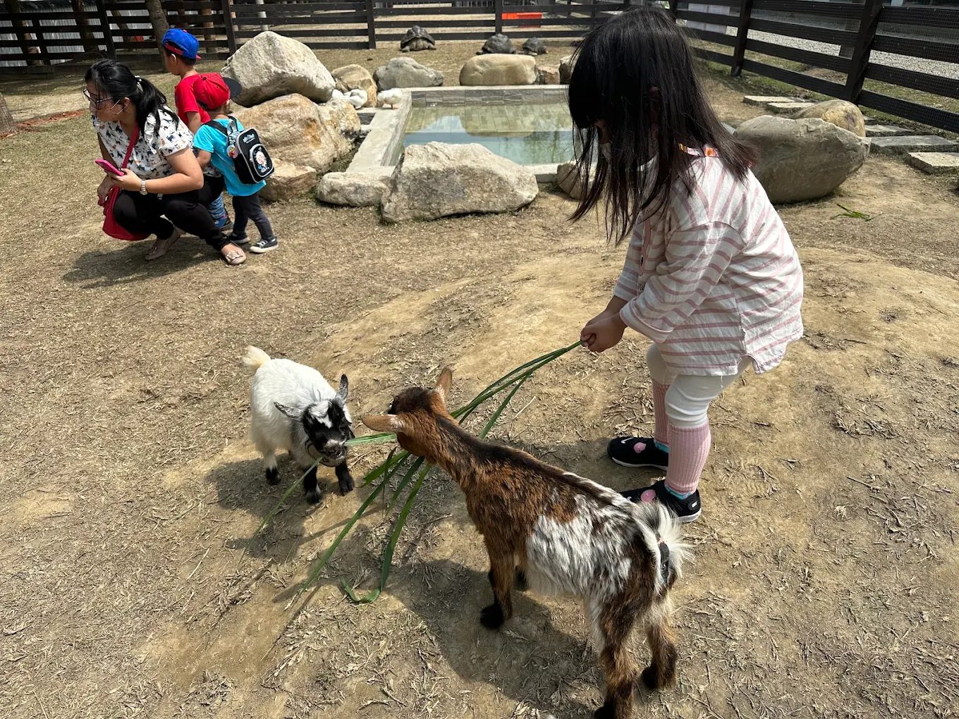 新竹一日遊：探索新竹的美味與隱藏景點