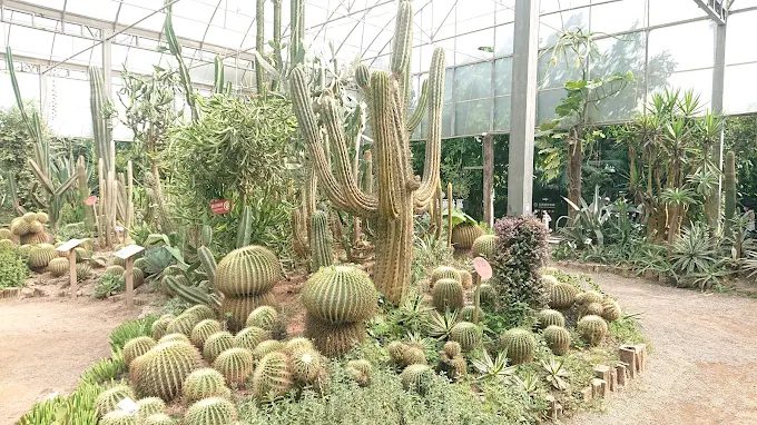 綠世界門票全攻略｜親子旅遊必訪的生態農場玩法與周邊景點一次看