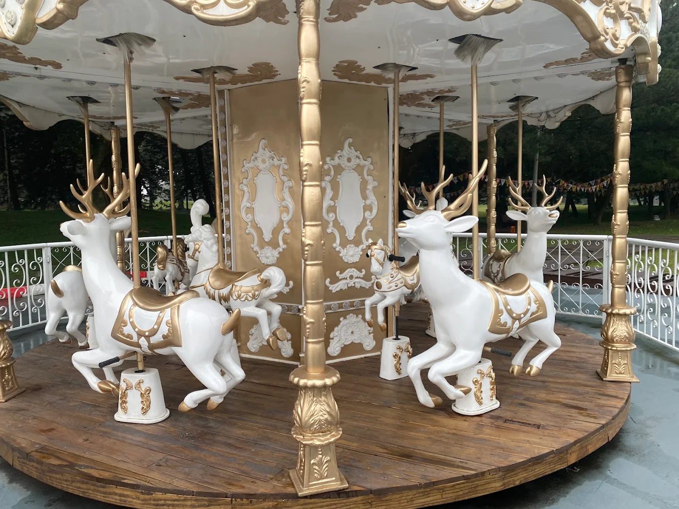 悅華大酒店評價｜親子住宿三餐美食、星空電影院、旋轉木馬就位！