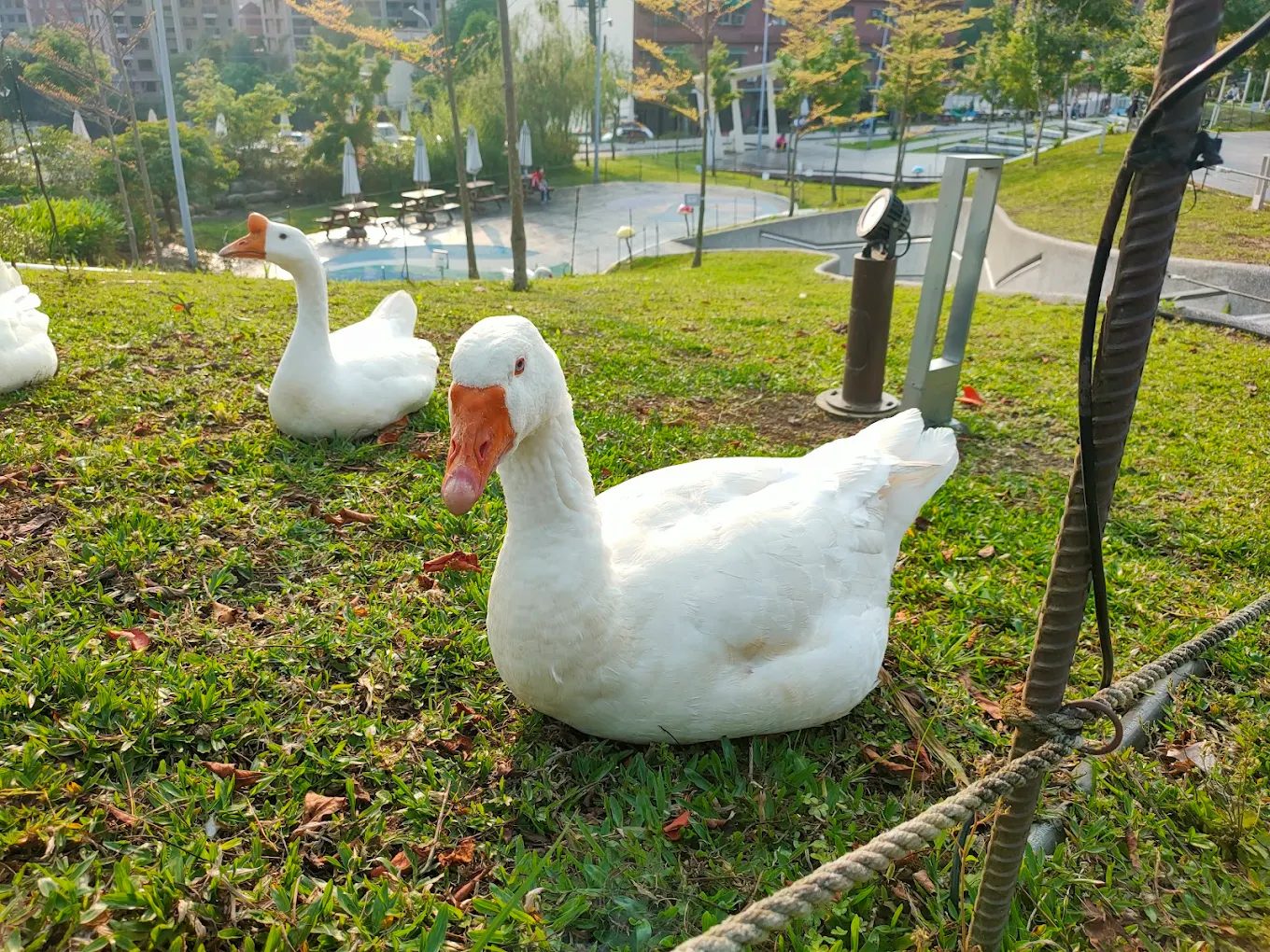 桃園親子景點：探索最佳家庭樂園與活動地點