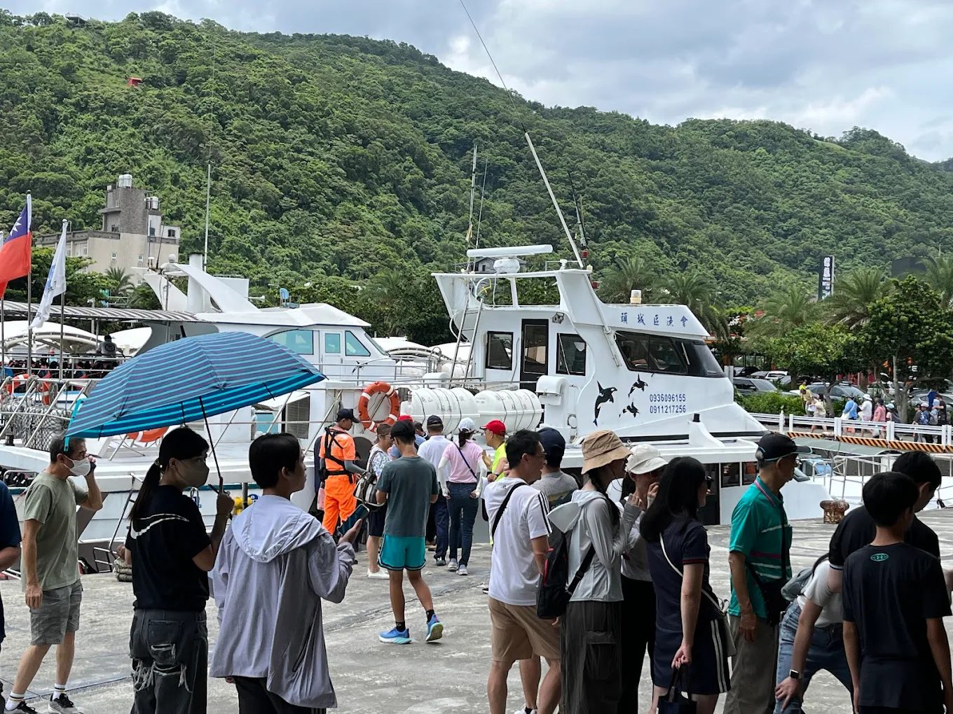 宜蘭龜山島賞鯨：如何享受到最佳觀賞體驗