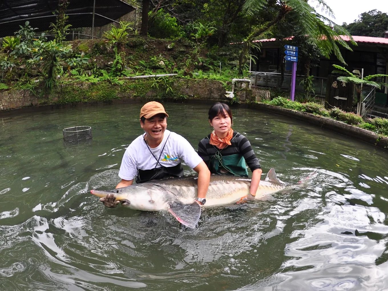 探索迷人的森林遊樂區：最佳的國家森林遊樂區推薦