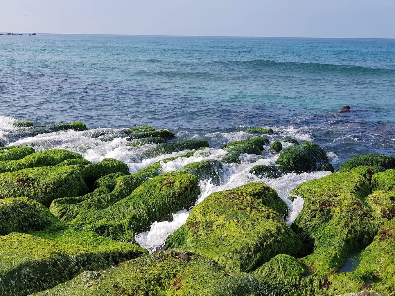 🐚 北海岸一日必訪景點|海景步道、潮間帶生態、夕陽美拍一次收藏!