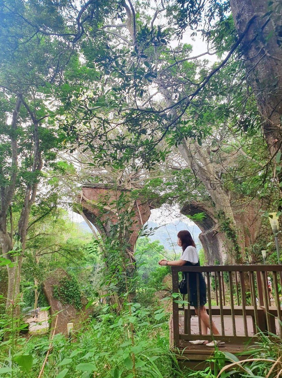 苗栗勝興車站一日遊：搭鐵道自行車賞斷橋、吃擂茶便當超療癒！