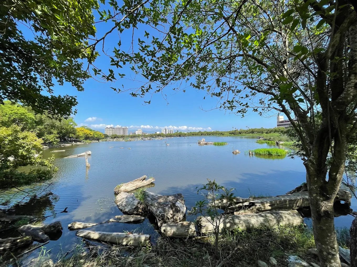 羅東林業文化園區｜走進宜蘭最美森林博物館，親子散步、免費景點一次滿足！