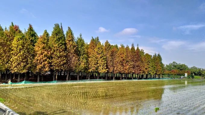 台南秘境一日遊｜木架山草原晨曦＋夢之湖雲霧＋虎山林場森林浴全攻略