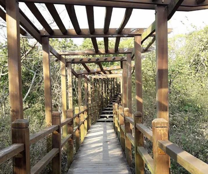 大坑步道｜探索台中最美的登山步道與周邊景點