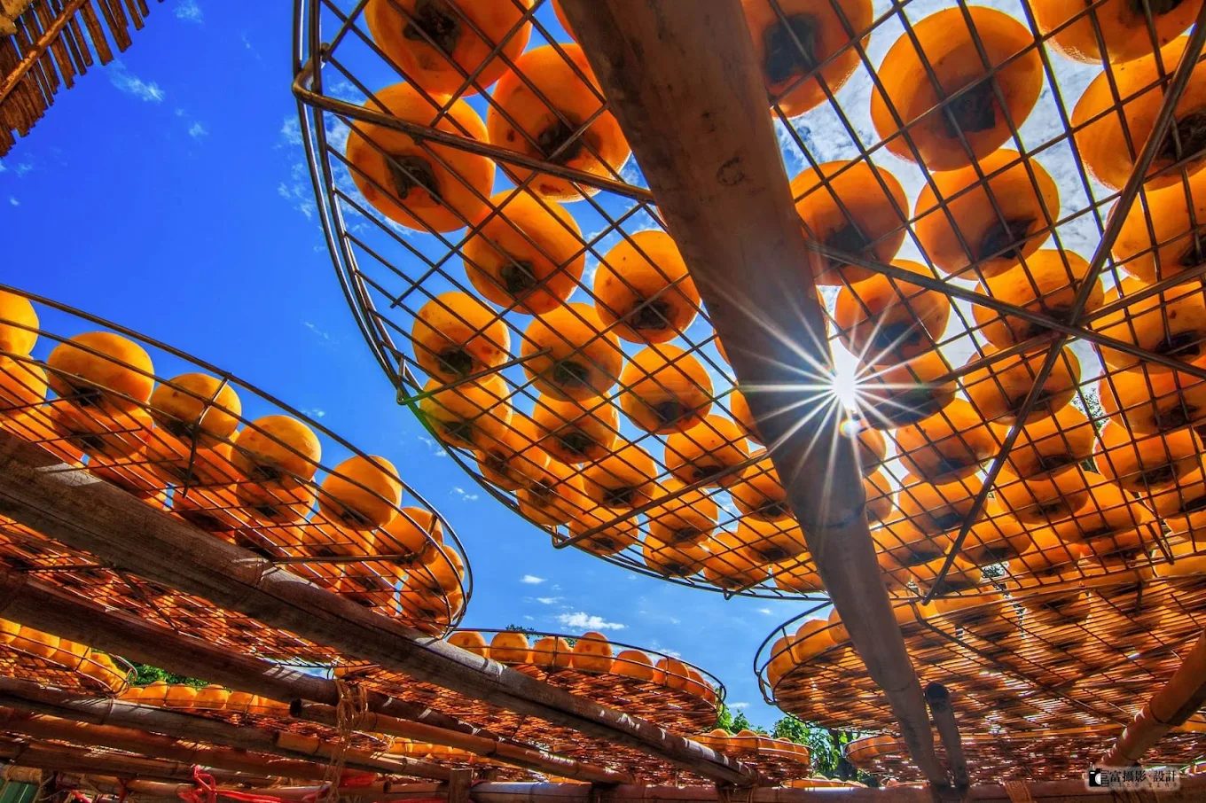 新埔老街一日遊：客家美食、百年古蹟與秋日柿餅的文化小旅行