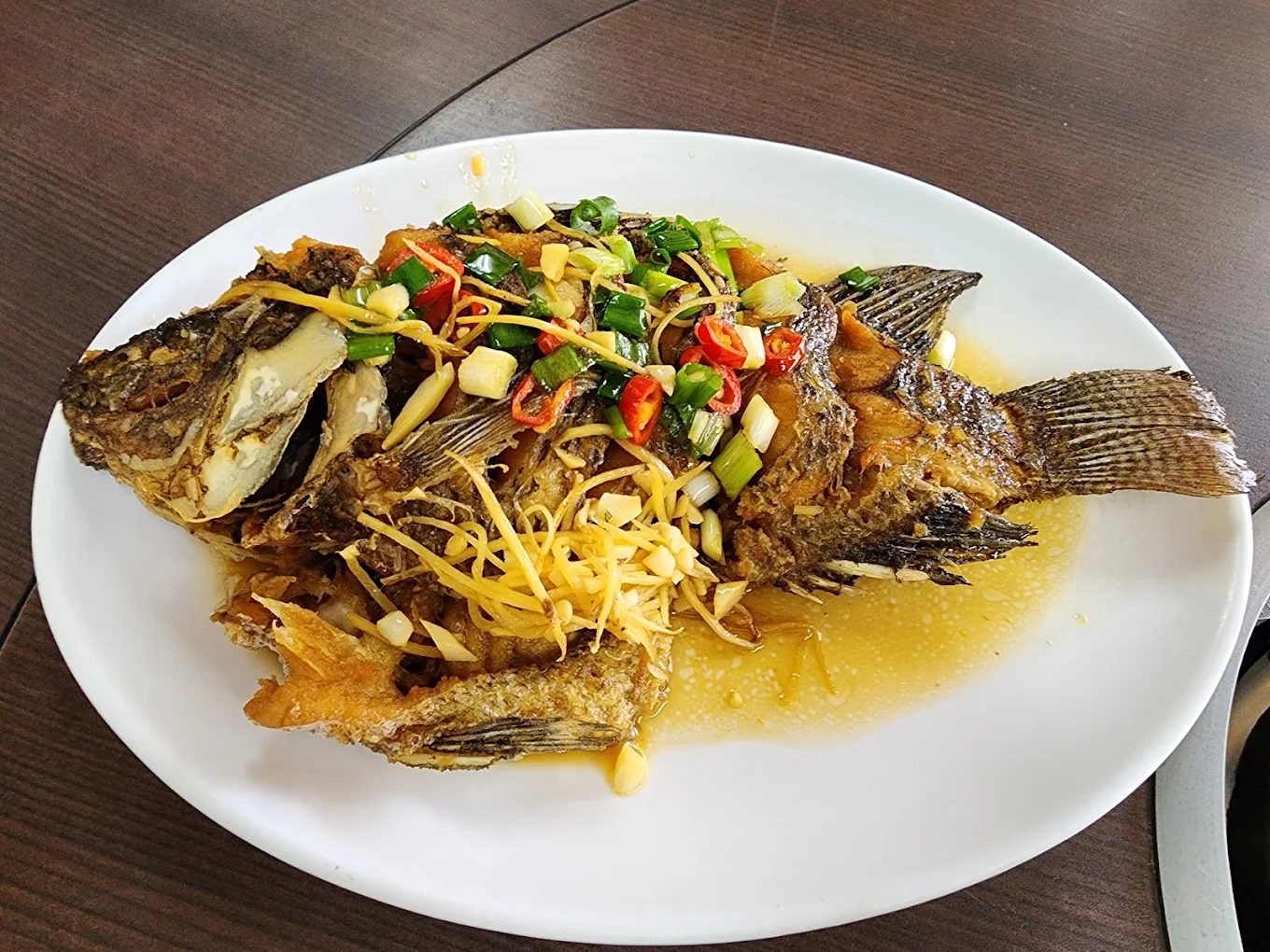 雙流國家森林遊樂區｜探索台灣最美的自然風光