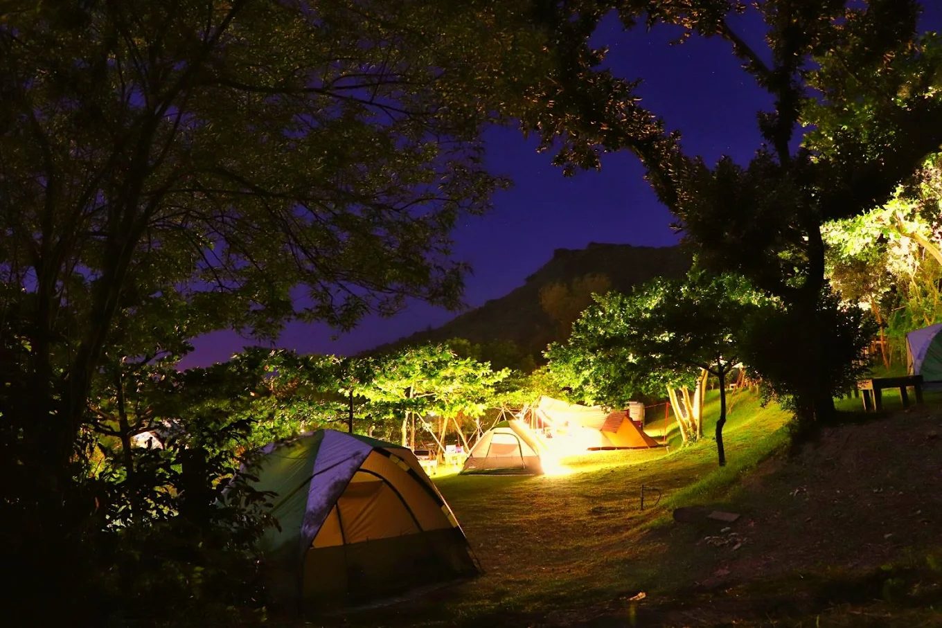 屏東阿信巧克力農場全攻略｜體驗可可香氣與自然共遊的親子天堂