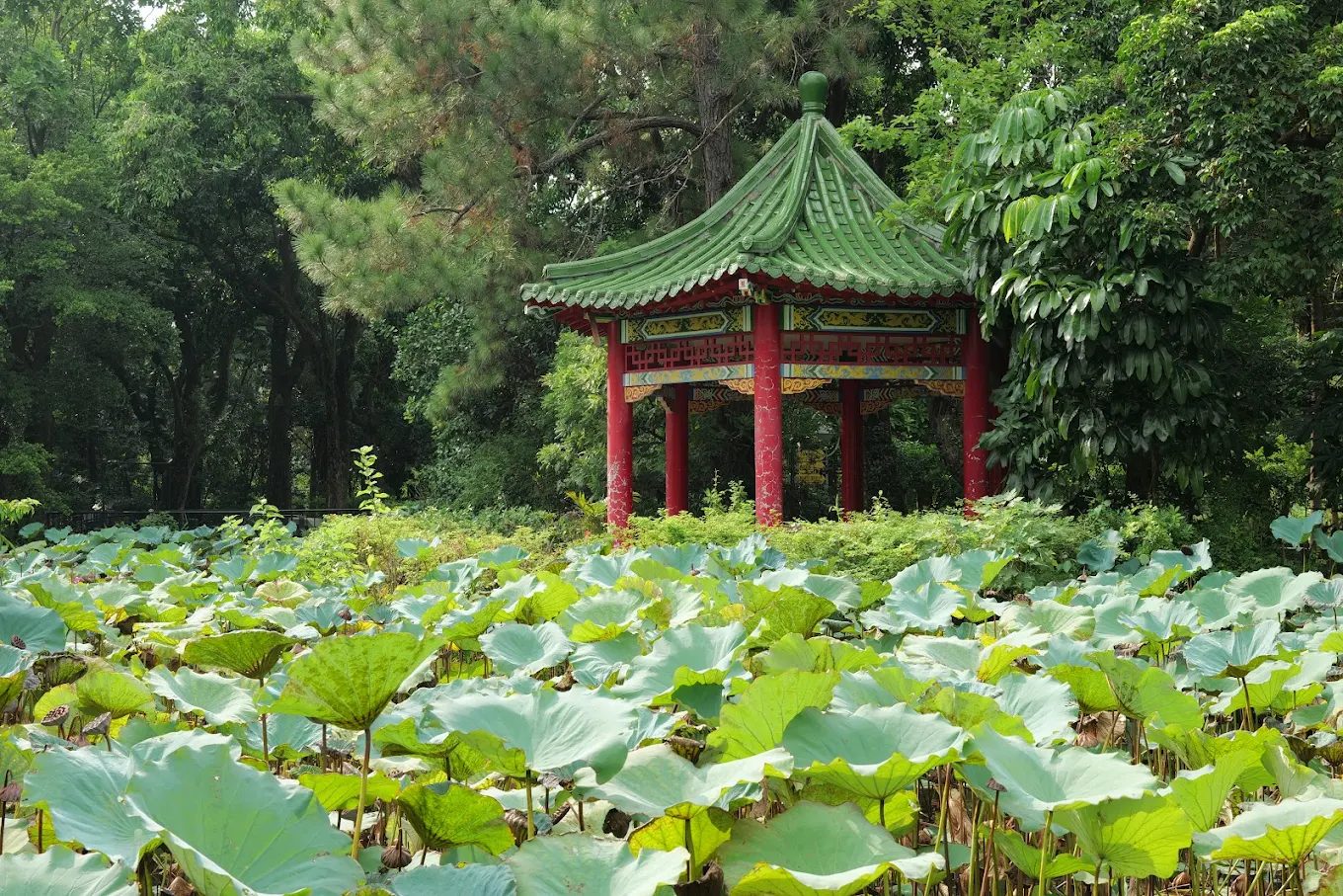 台北散心秘境｜5處放鬆心靈的好去處