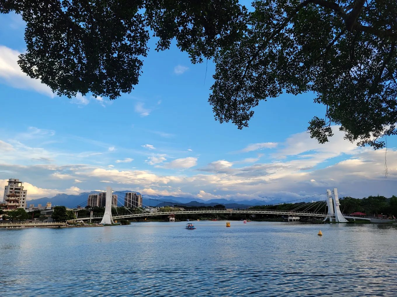 探訪龍潭大池一日遊全攻略｜散步、美食、親子放電一次搞定